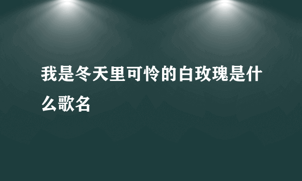 我是冬天里可怜的白玫瑰是什么歌名