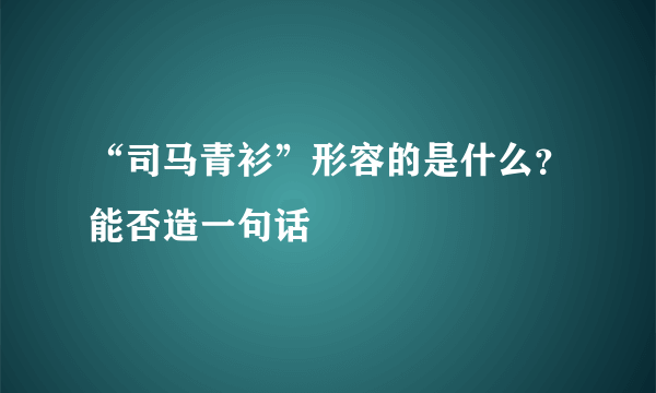 “司马青衫”形容的是什么？能否造一句话