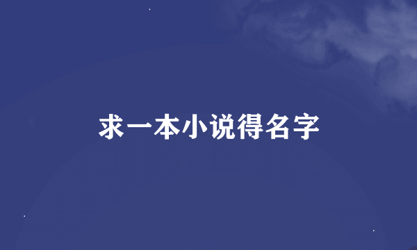 求一本小说得名字