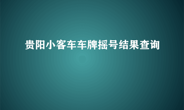 贵阳小客车车牌摇号结果查询