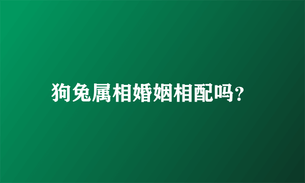 狗兔属相婚姻相配吗？