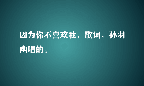 因为你不喜欢我，歌词。孙羽幽唱的。