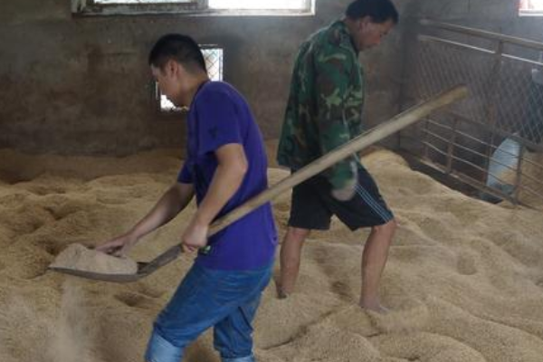 养鸡用的发酵床是怎么制作的啊