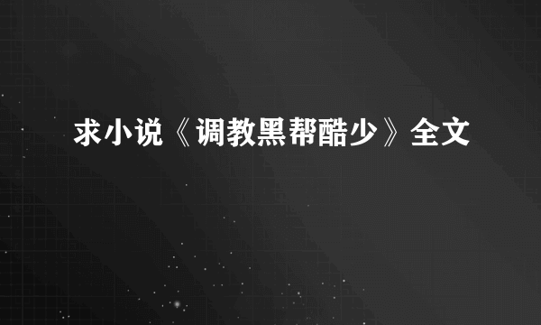 求小说《调教黑帮酷少》全文