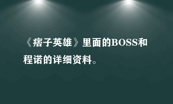 《痞子英雄》里面的BOSS和程诺的详细资料。