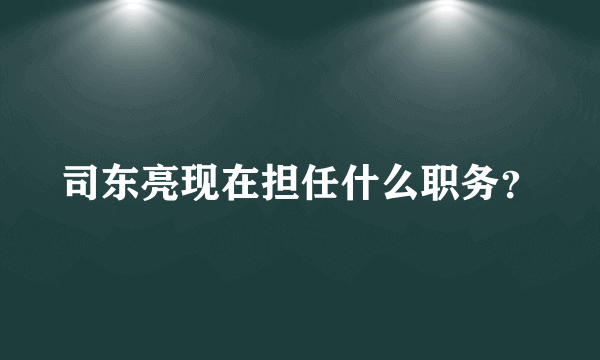 司东亮现在担任什么职务？