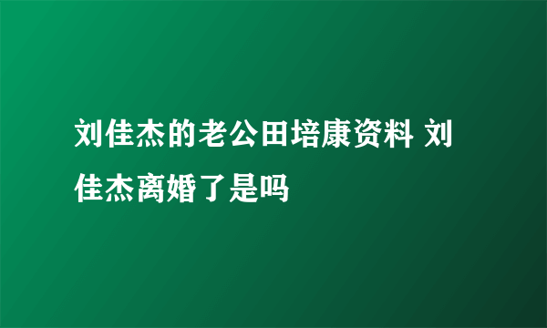 刘佳杰的老公田培康资料 刘佳杰离婚了是吗