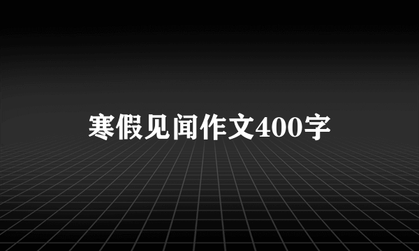 寒假见闻作文400字