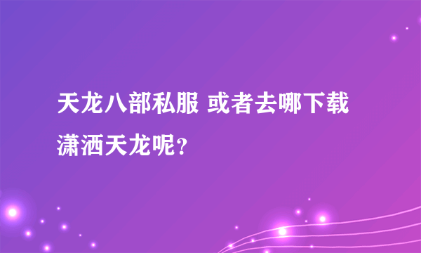 天龙八部私服 或者去哪下载潇洒天龙呢？