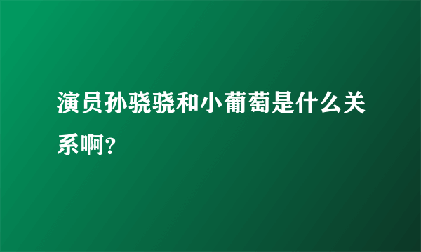 演员孙骁骁和小葡萄是什么关系啊？