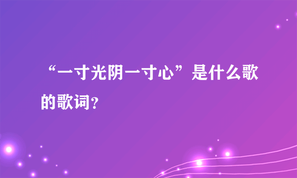 “一寸光阴一寸心”是什么歌的歌词？