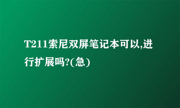 T211索尼双屏笔记本可以,进行扩展吗?(急)