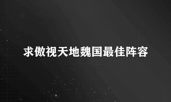 求傲视天地魏国最佳阵容