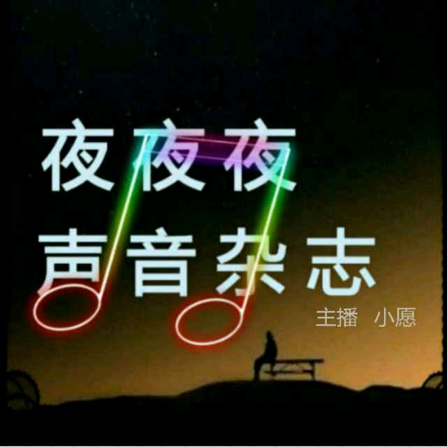 夜夜夜声音杂志的简介