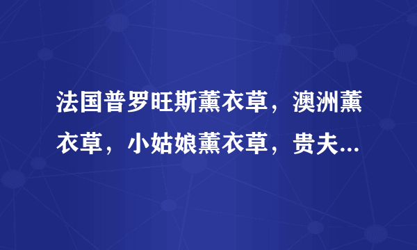 法国普罗旺斯薰衣草，澳洲薰衣草，小姑娘薰衣草，贵夫人薰衣草，这些品种都属于狭叶薰衣草吗？能开花吗？