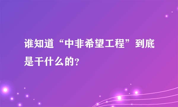 谁知道“中非希望工程”到底是干什么的？