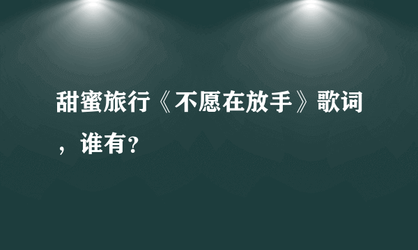 甜蜜旅行《不愿在放手》歌词，谁有？