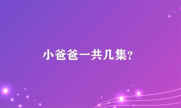 小爸爸一共几集？