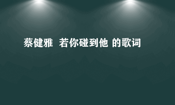 蔡健雅  若你碰到他 的歌词