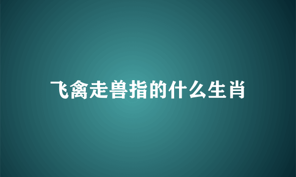 飞禽走兽指的什么生肖