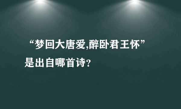 “梦回大唐爱,醉卧君王怀”是出自哪首诗？