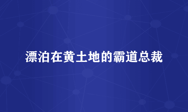 漂泊在黄土地的霸道总裁