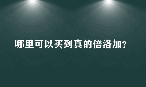 哪里可以买到真的倍洛加？