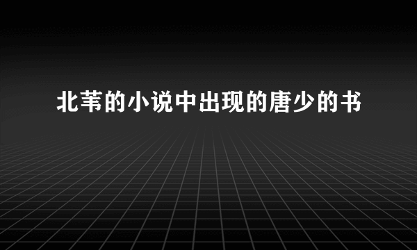 北苇的小说中出现的唐少的书