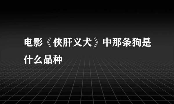 电影《侠肝义犬》中那条狗是什么品种