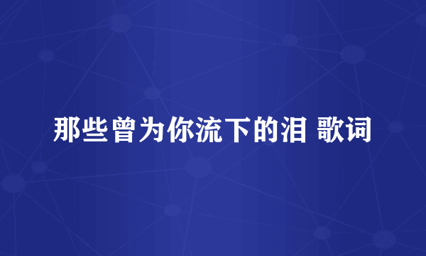 那些曾为你流下的泪 歌词