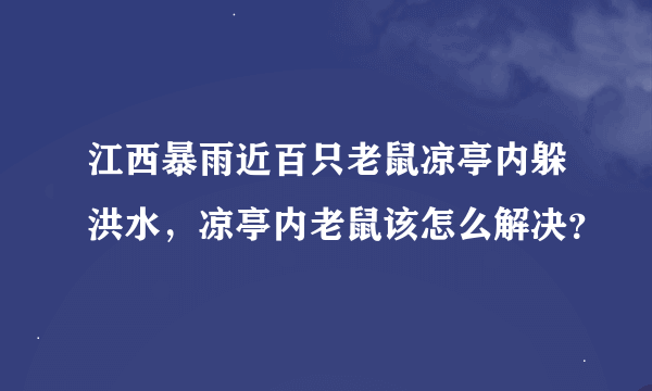 江西暴雨近百只老鼠凉亭内躲洪水，凉亭内老鼠该怎么解决？