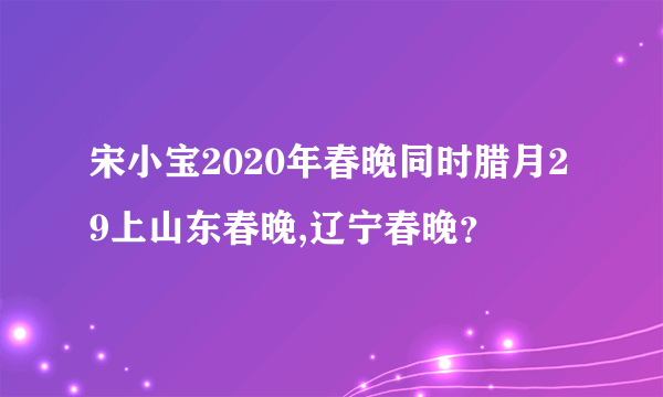 宋小宝2020年春晚同时腊月29上山东春晚,辽宁春晚？