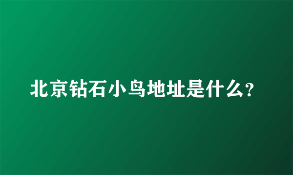 北京钻石小鸟地址是什么？