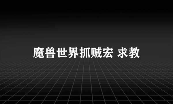 魔兽世界抓贼宏 求教