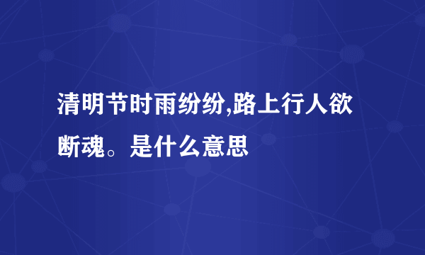 清明节时雨纷纷,路上行人欲断魂。是什么意思