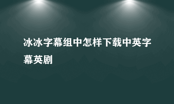 冰冰字幕组中怎样下载中英字幕英剧