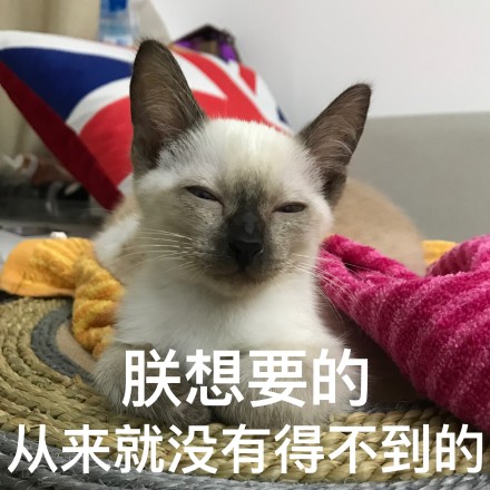 欧皇是什么意思