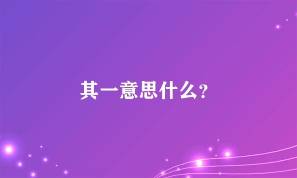 其一意思什么？