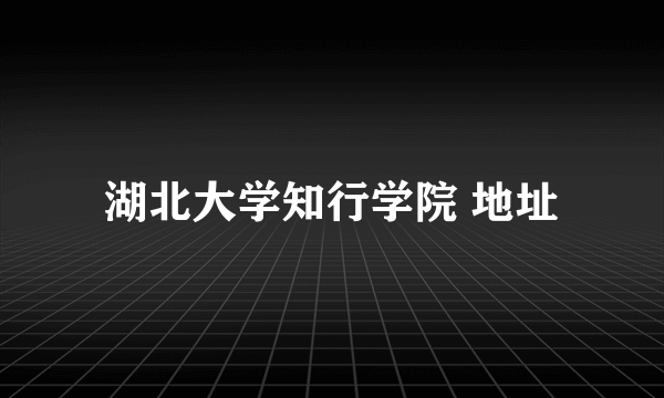 湖北大学知行学院 地址