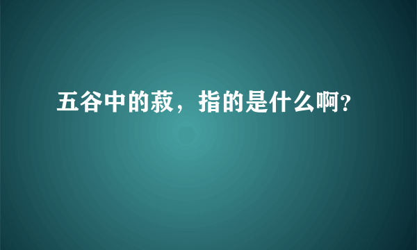 五谷中的菽，指的是什么啊？