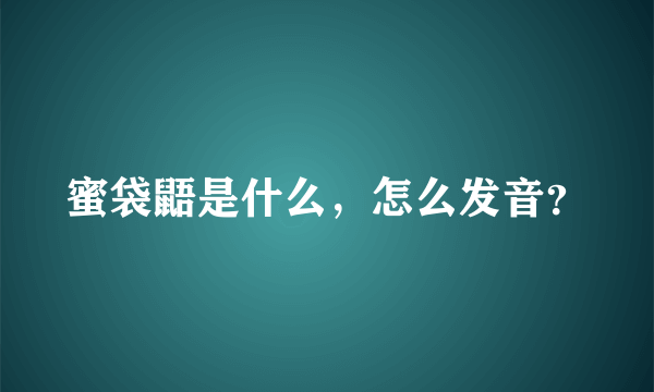 蜜袋鼯是什么，怎么发音？