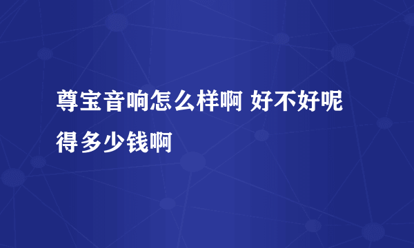 尊宝音响怎么样啊 好不好呢 得多少钱啊