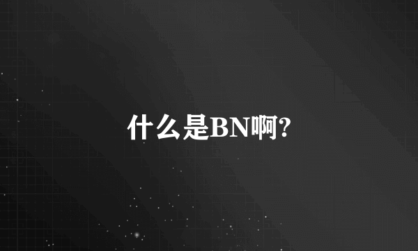 什么是BN啊?