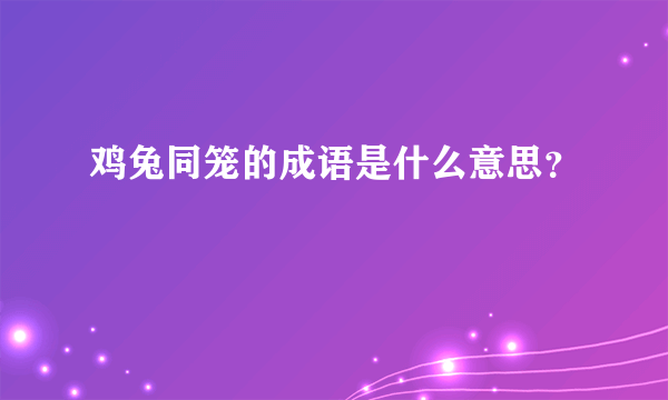 鸡兔同笼的成语是什么意思？