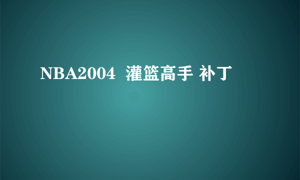 NBA2004  灌篮高手 补丁