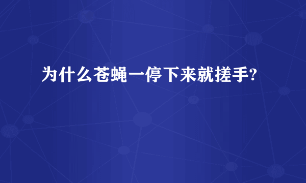 为什么苍蝇一停下来就搓手?