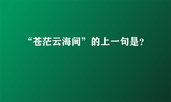 “苍茫云海间”的上一句是？