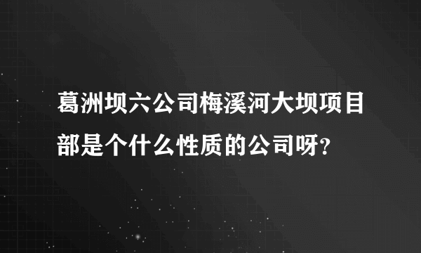 葛洲坝六公司梅溪河大坝项目部是个什么性质的公司呀？