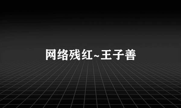 网络残红~王子善