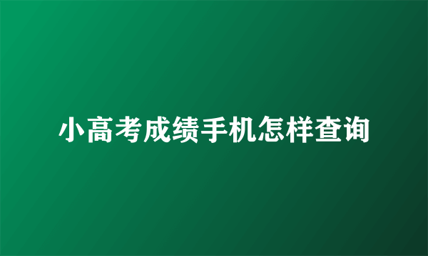 小高考成绩手机怎样查询